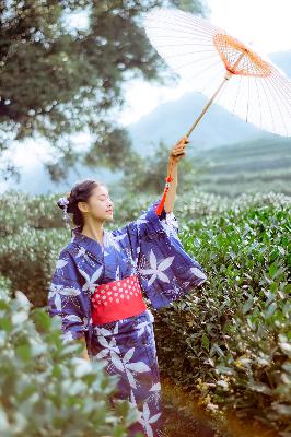 大地资源电影中文在线观看